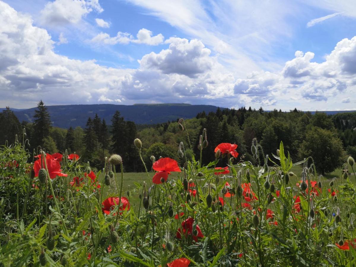 Hotel Schoene Aussicht Masserberg Kültér fotó