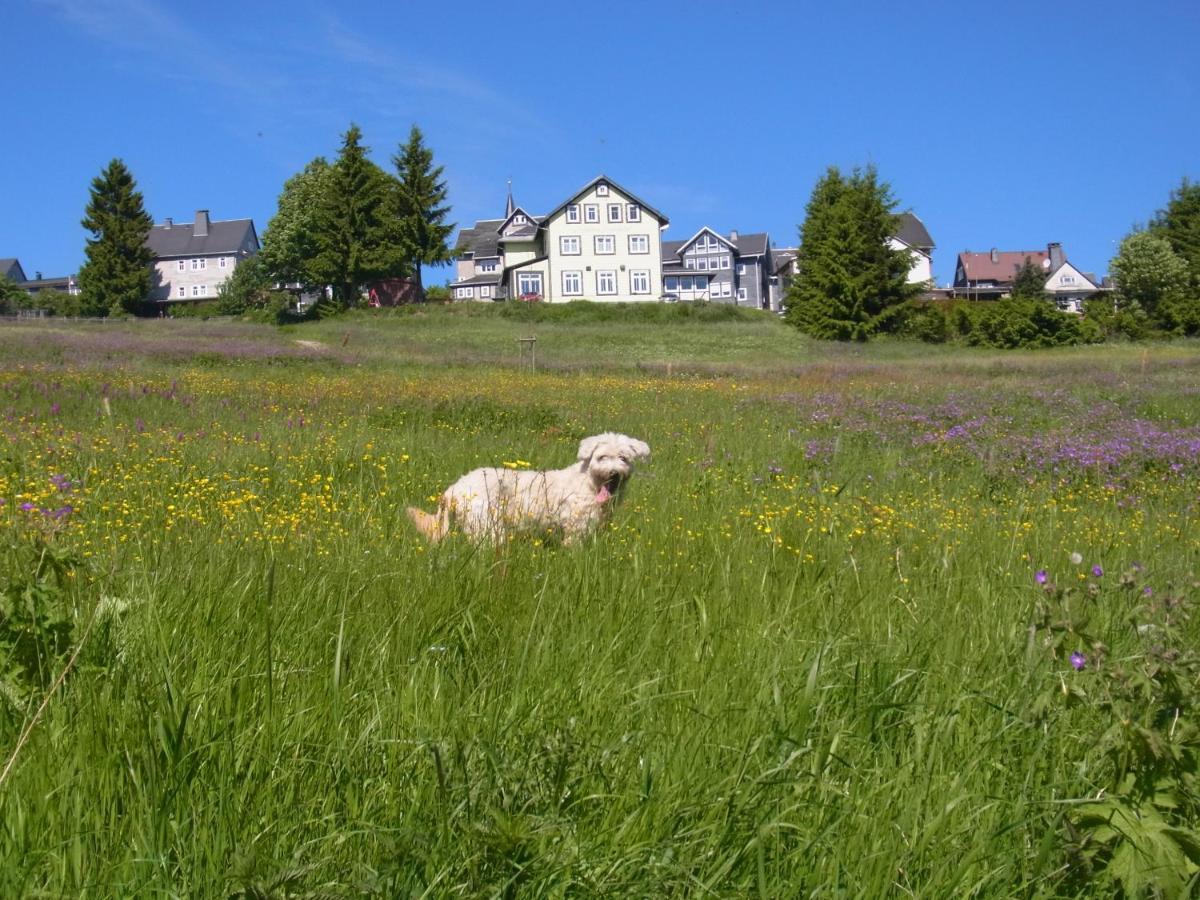 Hotel Schoene Aussicht Masserberg Kültér fotó