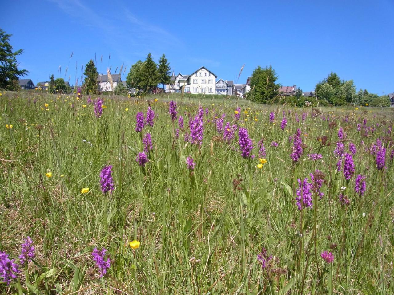 Hotel Schoene Aussicht Masserberg Kültér fotó